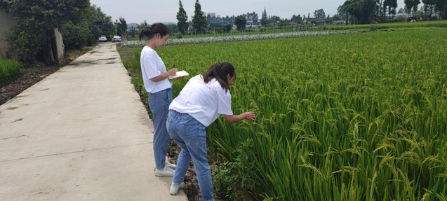 考察当地农业发展