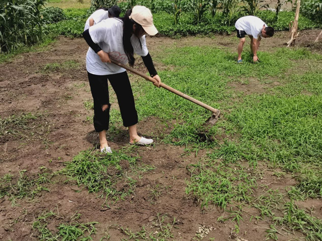 帮农户除草